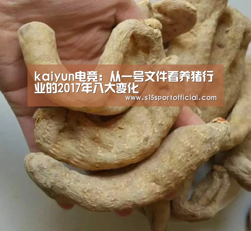 kaiyun电竞:从一号文件看养猪行业的2017年八大变化(图2) 开云电竞