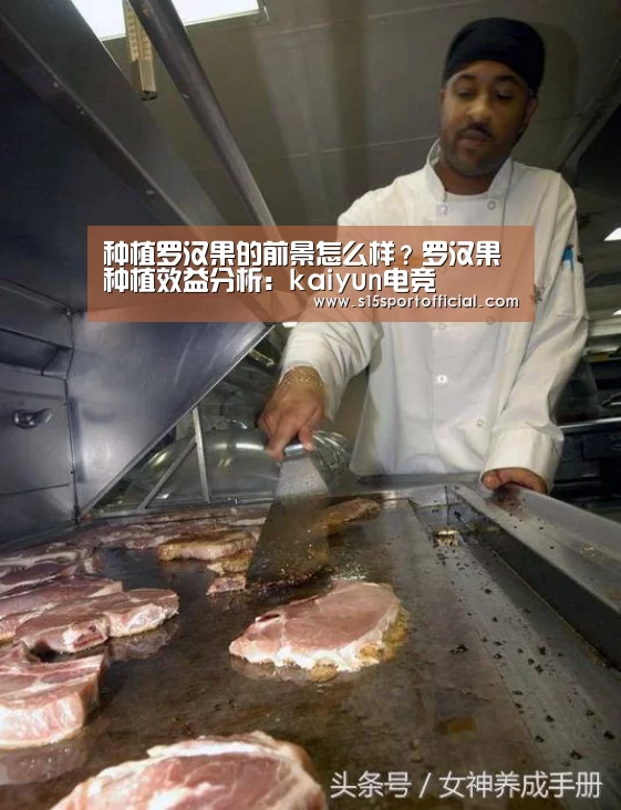 开云电竞官网